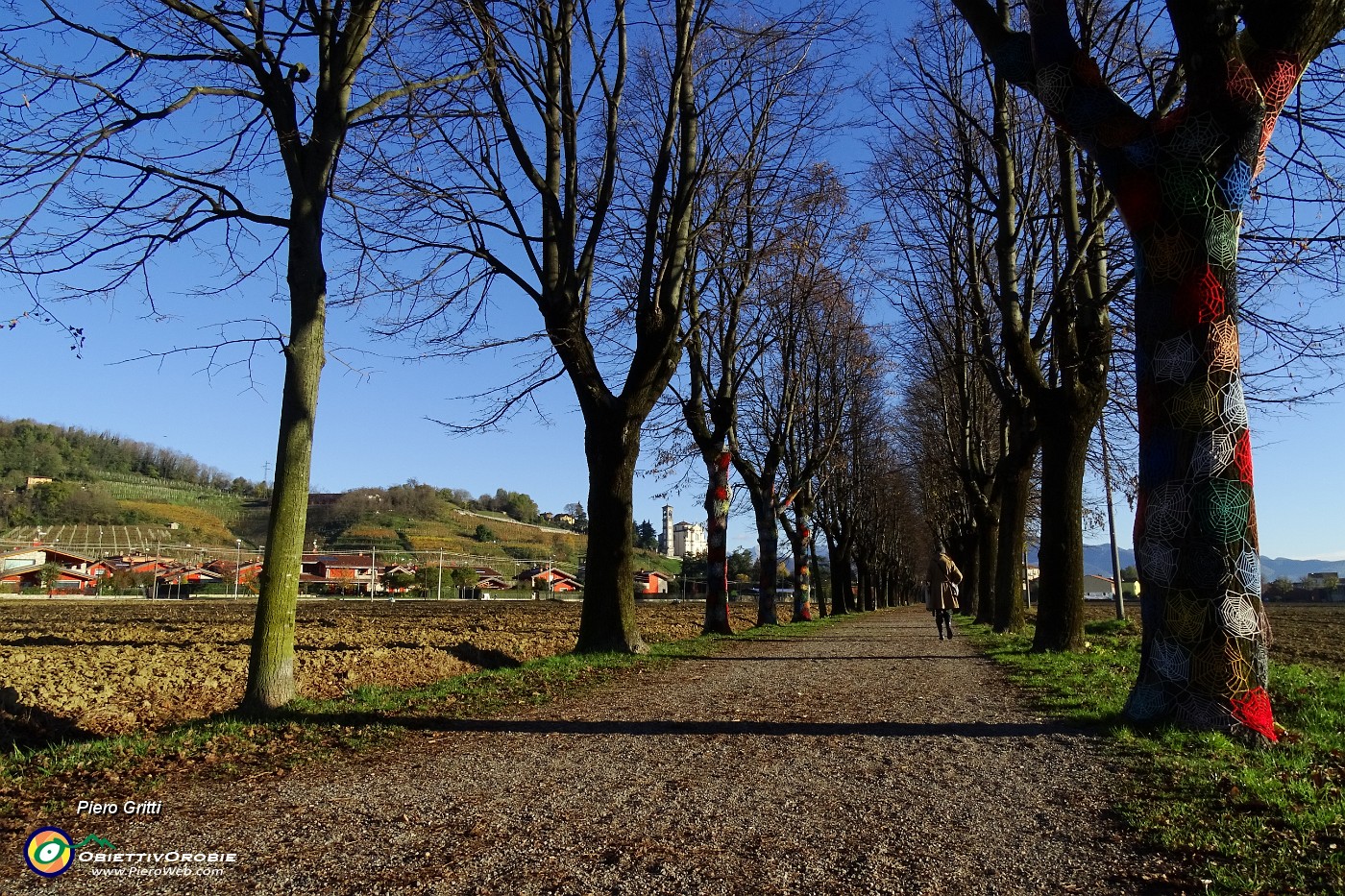 13 Il bellissimo lungo viale alberato.JPG